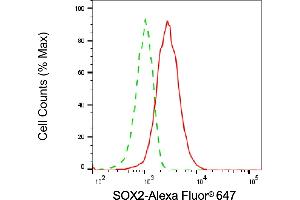 Flow cytometric analysis of SOX2 expression in HAP-1 cells using SOX2 antibody (ABIN7800431), 1:2,000). (SOX2 antibody)