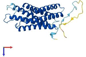 DNA-Damage Regulated Autophagy Modulator 2 (DRAM2) (AA 1-266) protein (His tag)