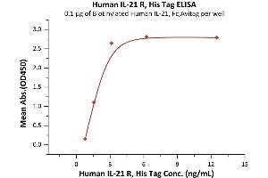 Immobilized Biotinylated Human IL-21, Fc,Avitag (ABIN5674598,ABIN6253717) at 2 μg/mL (100 μL/well) can bind Human IL-21 R, His Tag (ABIN2181372,ABIN2181371) with a linear range of 2-8 ng/mL (QC tested). (IL21 Receptor Protein (AA 20-236) (His tag))