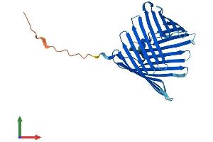 Protein Structure (PS) image for Translocase of Outer Mitochondrial Membrane 40 Like (TOMM40L) (AA 1-308) protein (His tag) (ABIN7560799)