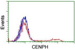 HEK293T cells transfected with either RC204531 overexpress plasmid (Red) or empty vector control plasmid (Blue) were immunostained by anti-CENPH antibody (ABIN2455280), and then analyzed by flow cytometry. (CENPH antibody)