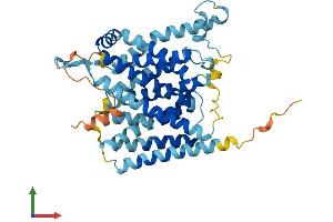AlphaFold protein structure predicition of Mouse Recombinant Slc35b2 Protein, UniprotID Q91ZN5 (SLC35B2 Protein (AA 1-431) (His tag))