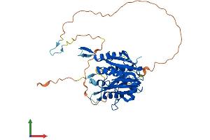 AlphaFold protein structure predicition of Mouse Recombinant Mettl22 Protein, UniprotID Q8R1C6 (METTL22 Protein (AA 1-393) (His tag))