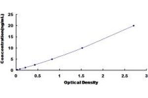 Typical standard curve (DNHD1 ELISA Kit)