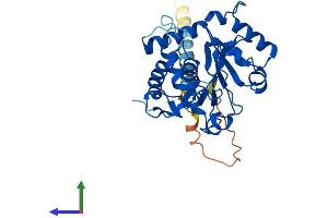 AlphaFold protein structure predicition of Human Recombinant ST6GALNAC3 Protein, UniprotID Q8NDV1 (alpha-N-Acetylgalactosaminide alpha-2,6-Sialyltransferase 3 (SIA7C) (AA 1-305) protein (His tag))
