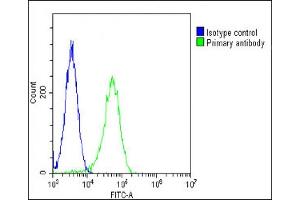 Overlay histogram showing Hela cells stained with (ABIN6243676 and ABIN6578760)(green line). (PGAP1 antibody  (AA 90-122))