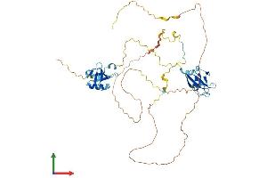 Protein Structure (PS) image for Doublecortin Domain Containing 2 (DCDC2) (AA 1-475) protein (His tag) (ABIN7557434)