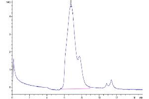 Size-exclusion chromatography-High Pressure Liquid Chromatography (SEC-HPLC) image for Tumor Necrosis Factor Receptor Superfamily, Member 18 (TNFRSF18) (AA 22-153) protein (His tag) (ABIN7274789)