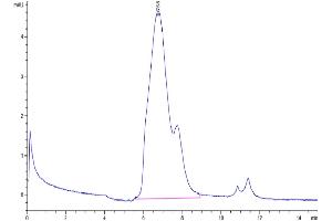 The purity of Mouse GITR/TNFRSF18 is greater than 95 % as determined by SEC-HPLC. (TNFRSF18 Protein (AA 22-153) (His tag))