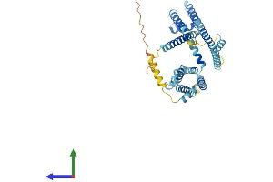 Protein Structure (PS) image for Cation Channel, Sperm Associated 3 (CATSPER3) (AA 1-395) protein (His tag) (ABIN7558387)