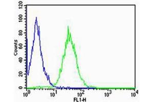 Flow cytometric analysis of Raji cells using CD74(green, Cat(ABIN1944838 and ABIN2838498)) compared to an isotype control of mouse IgG2b(blue). (CD74 antibody  (AA 1-232))