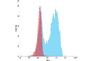 Flow cytometry analysis with 1 μg/mL PE-conjugated GD-mFc protein (ABIN7092724, ABIN7272158 and ABIN7272159P) on Anti GD CAR-Jurkat cells (Blue histogram) or negative Jurkat cells (Red histogram).
