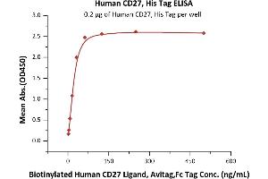 ELISA image for CD27 Molecule (CD27) (AA 21-192) (Active) protein (His tag) (ABIN6253520)