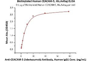 Immobilized Biotinylated Human CEACAM-5, His,Avitag (ABIN6386445,ABIN6388259) at 1 μg/mL (100 μL/well) on streptavidin  precoated (0. (CEACAM5 Protein (AA 35-685) (His tag,AVI tag,Biotin))