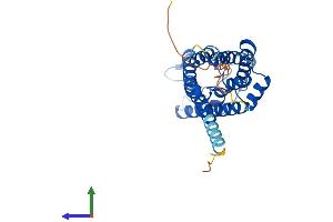 AlphaFold protein structure predicition of Human Recombinant AQP6 Protein, UniprotID Q13520 (AQP6 Protein (AA 1-282) (His tag))