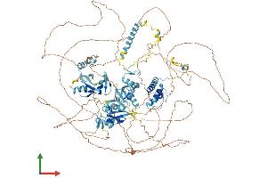 AlphaFold protein structure predicition of Mouse Recombinant Adnp Protein, UniprotID Q9Z103 (ADNP Protein (AA 1-1108) (His tag))
