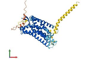 AlphaFold protein structure predicition of Human Recombinant AGTR2 Protein, UniprotID P50052 (Angiotensin II Type 2 Receptor Protein (AA 1-363) (His tag))