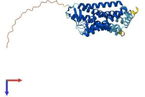 AlphaFold protein structure predicition of Human Recombinant OR4C5 Protein, UniprotID Q8NGB2 (OR4C5 Protein (AA 1-326) (His tag))