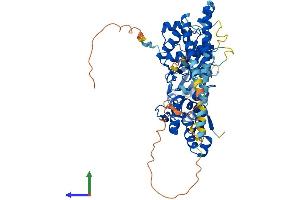 Protein Structure (PS) image for ARP5 Actin-Related Protein 5 Homolog (ACTR5) (AA 1-607) protein (His tag) (ABIN7552325)