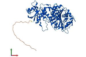 AlphaFold protein structure predicition of Human Recombinant LAP3 Protein, UniprotID P28838 (LAP3 Protein (AA 1-519) (His tag))