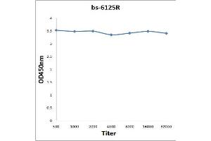 Antigen: 0. (Nibrin antibody  (pSer343))