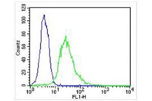 Overlay histogram showing Hela cells stained with (ABIN6243771 and ABIN6577109) (green line). (EEF1E1 antibody)