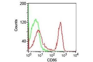 Flow cytometry testing of human PBMC using CD86 antibody (clone CDLA86).