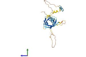 Protein Structure (PS) image for Nuclear Receptor Interacting Protein 2 (NRIP2) (AA 1-281) protein (His tag) (ABIN7549821)