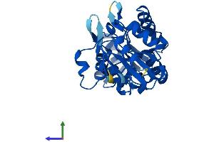 AlphaFold protein structure predicition of Mouse Recombinant Lhpp Protein, UniprotID Q9D7I5