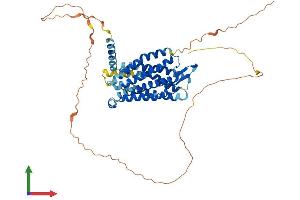 Protein Structure (PS) image for G Protein-Coupled Receptor 152 (GPR152) (AA 1-470) protein (His tag) (ABIN7548009)