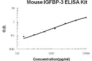 Mouse IGFBP-3 PicoKine ELISA Kit standard curve (IGFBP3 ELISA Kit)