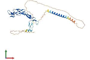 Protein Structure (PS) image for Ectodysplasin A2 Receptor (EDA2R) (AA 1-297) protein (His tag) (ABIN7558986)