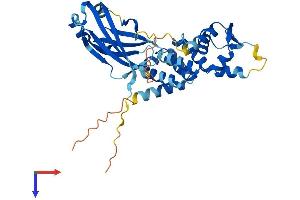 AlphaFold protein structure predicition of Mouse Recombinant Tdpoz3 Protein, UniprotID Q717B4