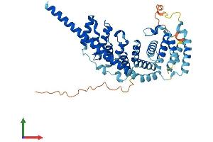 Protein Structure (PS) image for Mitochondrial Ribosomal Protein S27 (MRPS27) (AA 1-415) protein (His tag) (ABIN7558717)