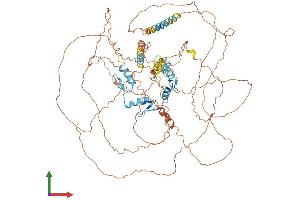 AlphaFold protein structure predicition of Human Recombinant ZNF148 Protein, UniprotID Q9UQR1 (ZNF148 Protein (AA 1-794) (His tag))