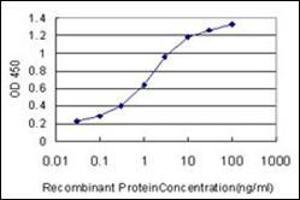 ELISA image for anti-Oculocerebrorenal Syndrome of Lowe (OCRL) (AA 146-240) antibody (ABIN782420) (OCRL antibody  (AA 146-240))
