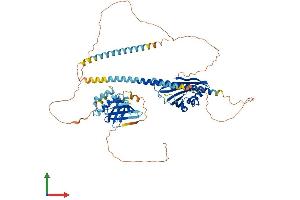 AlphaFold protein structure predicition of Human Recombinant GRAMD1C Protein, UniprotID Q8IYS0 (GRAMD1C Protein (AA 1-662) (His tag))
