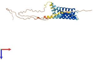 AlphaFold protein structure predicition of Human Recombinant CMTM2 Protein, UniprotID Q8TAZ6