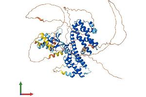AlphaFold protein structure predicition of Mouse Recombinant Rfx3 Protein, UniprotID P48381 (RFX3 Protein (AA 1-749) (His tag))