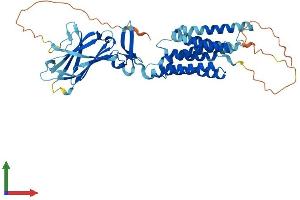 Protein Structure (PS) image for Transmembrane Protein 8B (TMEM8B) (AA 1-472) protein (His tag) (ABIN7562035)