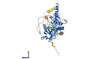 AlphaFold protein structure predicition of Mouse Recombinant Stk4 Protein, UniprotID Q9JI11 (STK4 Protein (AA 1-487) (His tag))