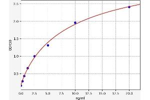 Typical standard curve (TYK2 ELISA Kit)