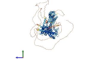 AlphaFold protein structure predicition of Human Recombinant PLEKHG4 Protein, UniprotID Q58EX7 (PLEKHG4 Protein (AA 1-1191) (His tag))