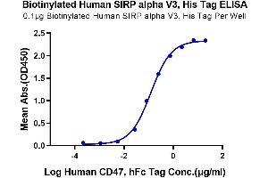 Immobilized Biotinylated Human SIRP alpha V3, His Tag at 1 μg/mL (100 μL/Well) on the plate.