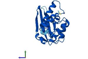 Protein Structure (PS) image for TP53RK Binding Protein (TPRKB) (AA 1-175) protein (His tag) (ABIN7559606)