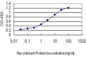 Detection limit for recombinant GST tagged YWHAH is approximately 0. (14-3-3 eta antibody  (AA 71-170))