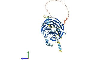 AlphaFold protein structure predicition of Human Recombinant CDC20 Protein, UniprotID Q12834 (CDC20 Protein (AA 1-499) (His tag))