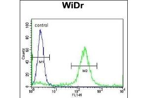 ADDEC1 Antibody (N-term) (ABIN653064 and ABIN2842665) flow cytometric analysis of WiDr cells (right histogr) compared to a negative control cell (left histogr). (ADAMDEC1 antibody  (N-Term))