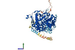 AlphaFold protein structure predicition of Mouse Recombinant Ampd3 Protein, UniprotID O08739 (AMPD3 Protein (AA 1-766) (His tag))