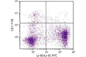 BALB/c mouse bone marrow cells were stained with Rat Anti-Mouse CD117-PE. (KIT antibody  (PE))